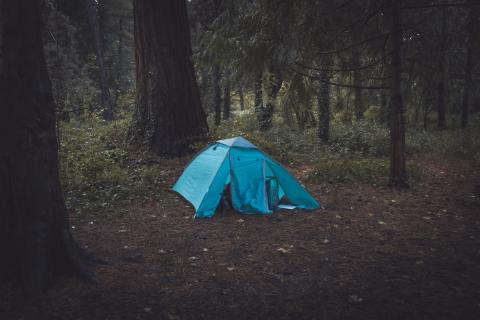 A blue tent in a dark forest