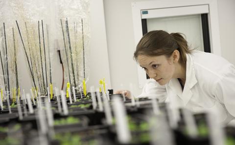 Institute for Life Sciences plant growth facility
