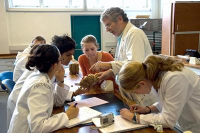 Research-led teaching