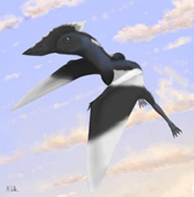 Credit: Mark Witton, palaeoartist