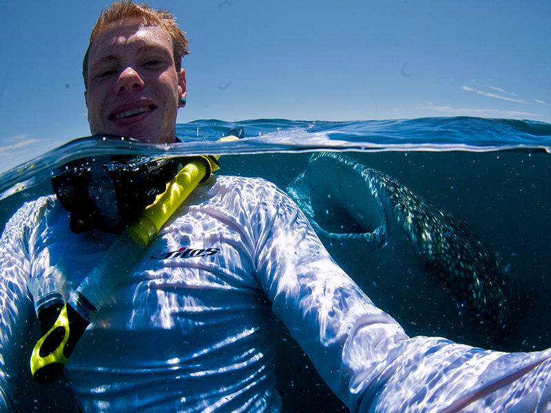 Essay on marine life