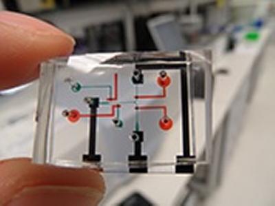 Neurochip which records the brain activity of worms
