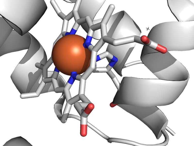 The iron atom at the centre of haem seen by X-ray diffraction