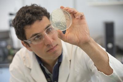 Prof Ali Tavassoli