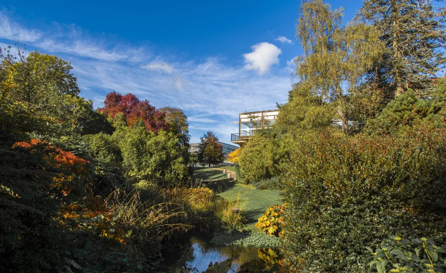 Wide view of Highfield Campus with autumn colours.