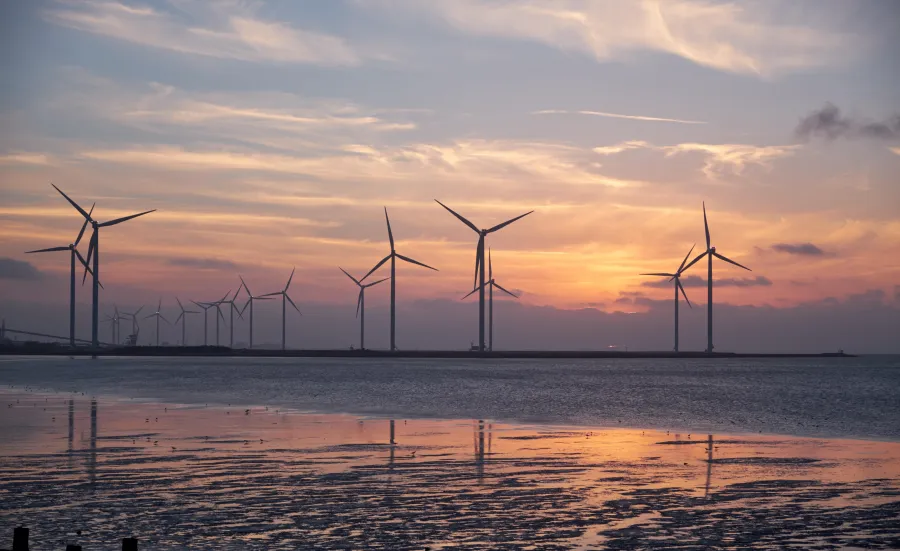 Coastal windturbines at sunset