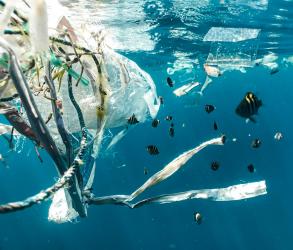 Plastic pollution in the sea by Naja Bertolt Jensenon