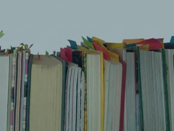 Close up view of a row of books
