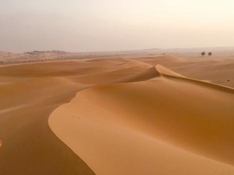 Shifting deserts of Arabia