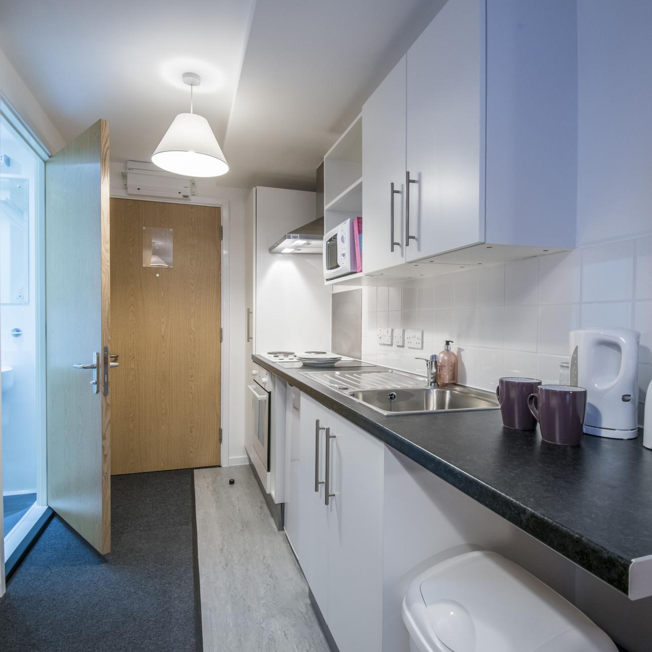 A modern studio flat showing kitchenette and entrance to bathroom.