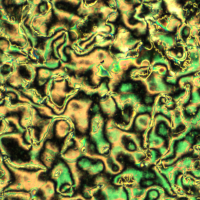 Textures in a mesoscopic system made of a nematic liquid crystal doped with nanoparticles.