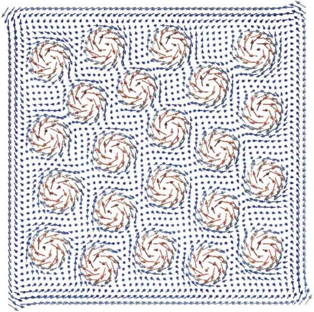 skyrmions/confined-lattice640.png