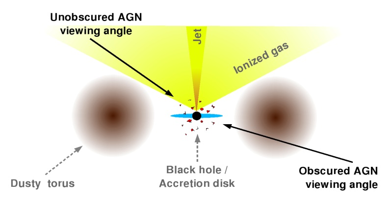 AGN structure