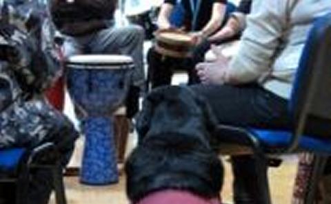 Our furry workshop attendee