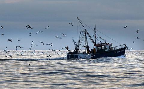 Fishing Boat