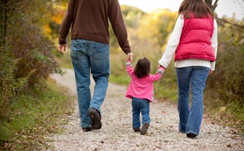 Fertility, family and households
