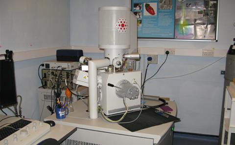 Scanning Electron Microscopy