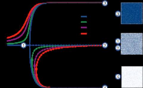 Equation-free methods
