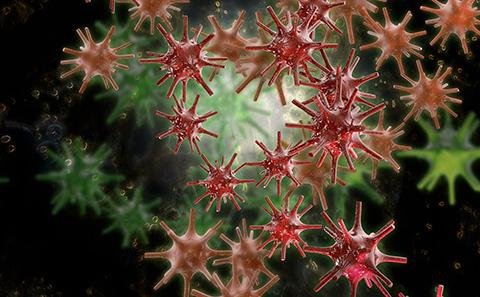 Infectious Diseases 