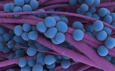 Immunology Research 