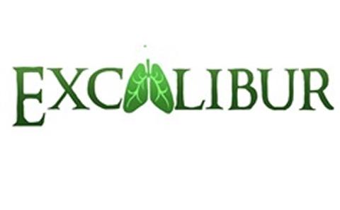 Excalibur logo