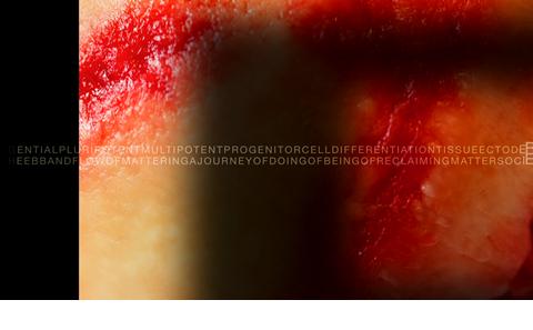 Screen 3 - Viscera