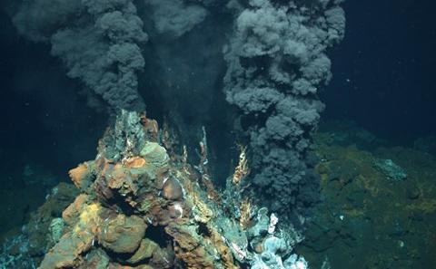 Marine Life Public Talks
