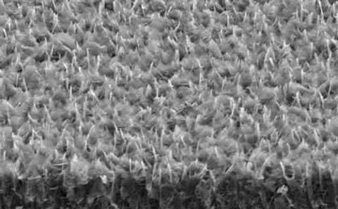 Thin film deposition