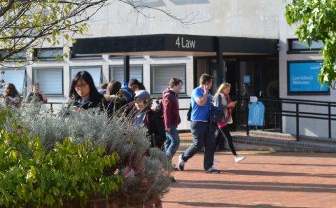 Undergraduate opportunities