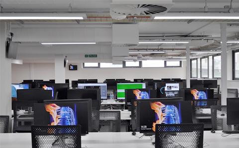 rows of computers