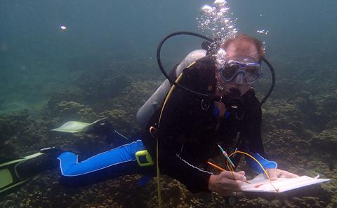 Prof Wiedenmann diving
