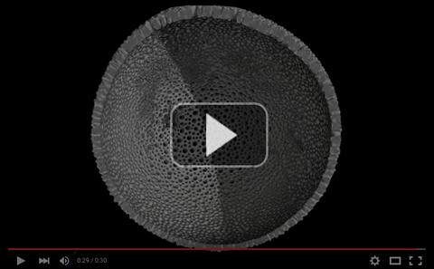 µ-VIS Videos