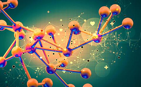 Genomics and bioinformatics