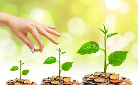 Education Enhancement Fund (EEF)