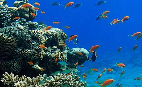 Marine science