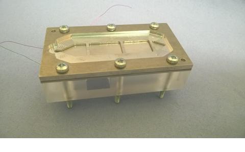 Device to test for bugs in water