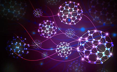 Immunology and Inflammation