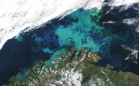 Marine Biogeochemistry