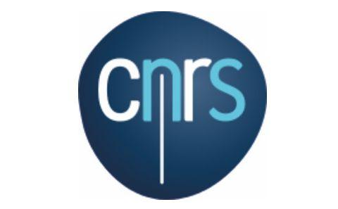 Logo CNRS Marseille France