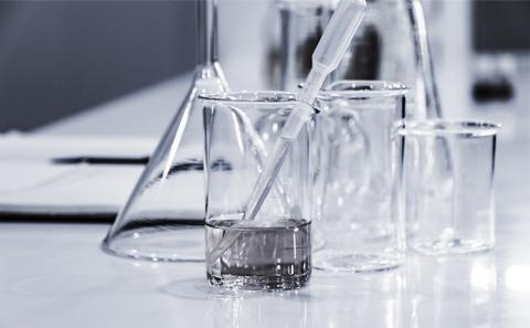 image courtesy of hans-reiniers-unsplash