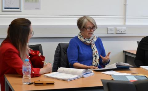 Professional development for TESOL