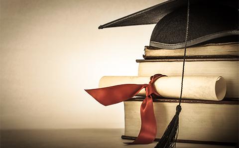 Higher Education