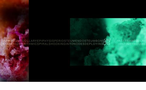 Screen 4 - Ossify