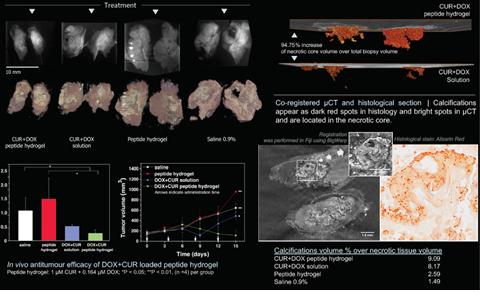 Assessment of the synergistic anti-tumour potency of novel drug formulations by means of 3D X-ray Histology