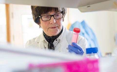 Professor Freda Stevenson