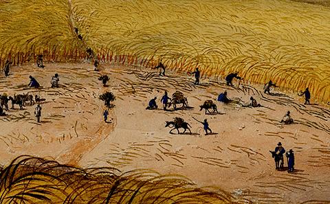Slaves in field