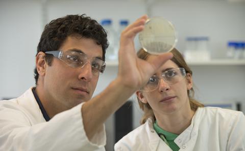 Cancer researchers
