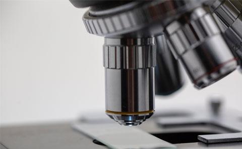 microscope