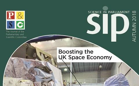 Cover of SIP journal