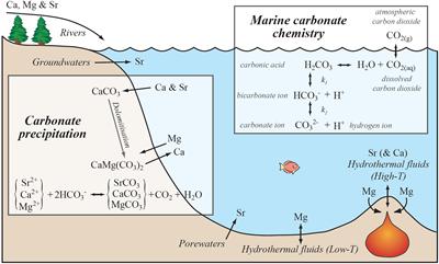 The principal reactions governing carbonate precipitation in the oceans, and how this interacts with the marine Mg, Ca and Sr cycles. (Source: C.R. Pearce)